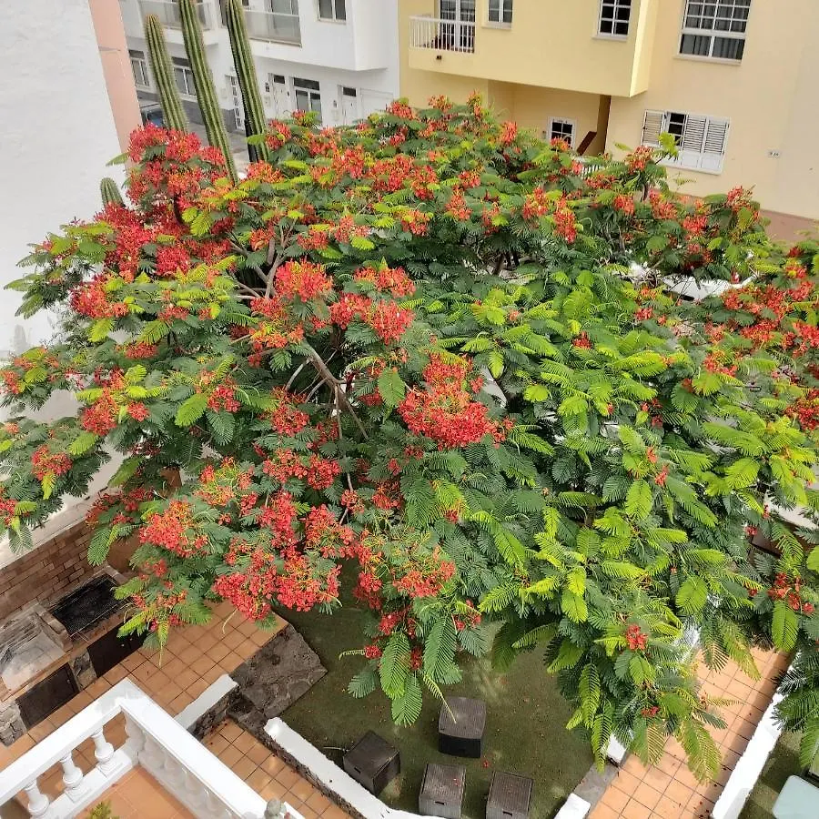Hostel Corralejo Garden&Relax Spanien